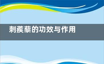 刺蒺藜的功效与作用 刺蒺藜的***价值(刺蒺藜的功效与用量)